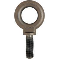 Eye Bolt, 3/4" Dia., 1" L, Uncoated Natural Finish, 650 lbs. (0.325 tons) Capacity YC119 | Rock Safety Industrial Ltd