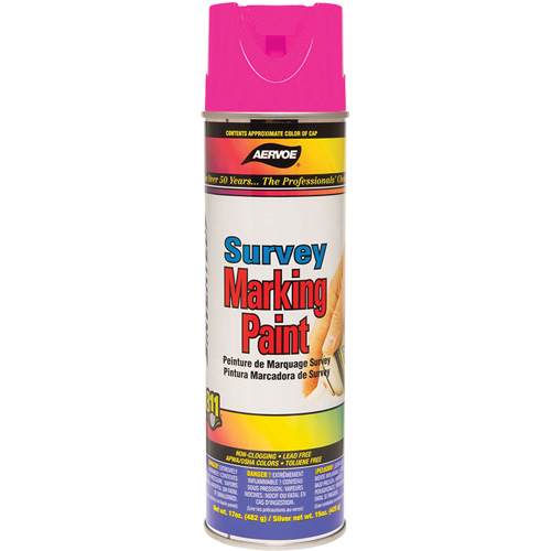 Peinture de marquage &agrave; base de solvant, 17 oz, Canette a&eacute;rosol Rock Safety Industrial Ltd