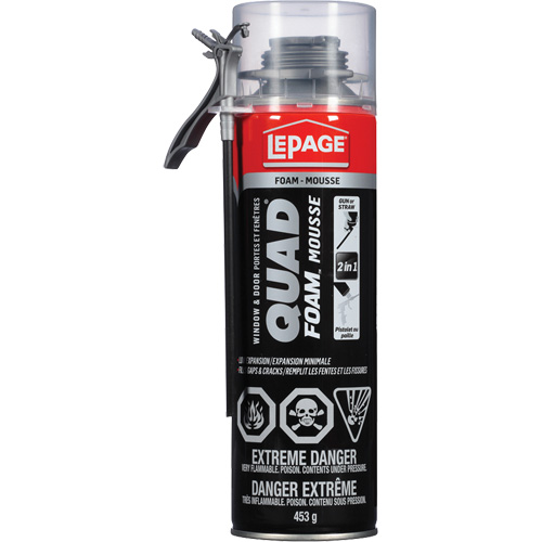 Mousse d'installation de portes & fen&ecirc;tres Quad Mousse, Canette a&eacute;rosol, Havane Rock Safety Industrial Ltd