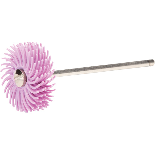 Scotch-Brite Radial Bristle Discs, Pumice Grit, 3/4" Dia. Rock Safety Industrial Ltd