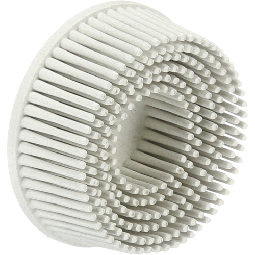Scotch-Brite Roloc Bristle Discs, 120 Grit, 2" Dia. Rock Safety Industrial Ltd