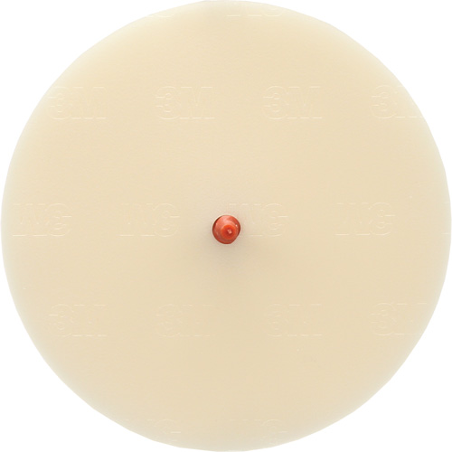 Scotch-Brite Moulding Adhesive and Stripe Removal Disc 7502, 6" Dia. Rock Safety Industrial Ltd