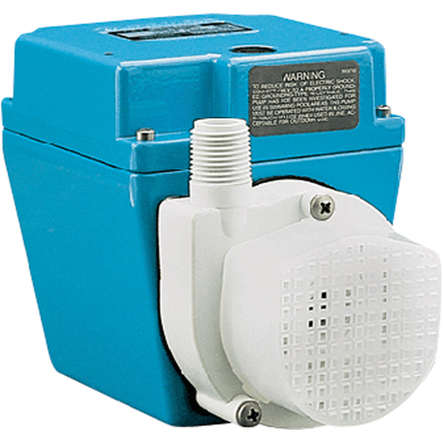 Pompes &agrave; double usage, 1/15 CV, 500 gal./h, 115 V, 3,2 A Rock Safety Industrial Ltd