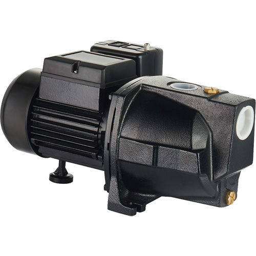 Pompe &agrave; jet en fonte &agrave; double tension pour puit peu profond, 115 V/230 V, 1100 gal./h, 1 CV Rock Safety Industrial Ltd