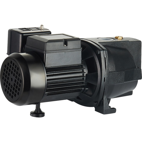 Pompe &agrave; jet en fonte &agrave; double tension pour puit peu profond, 115 V/230 V, 1100 gal./h, 1 CV Rock Safety Industrial Ltd