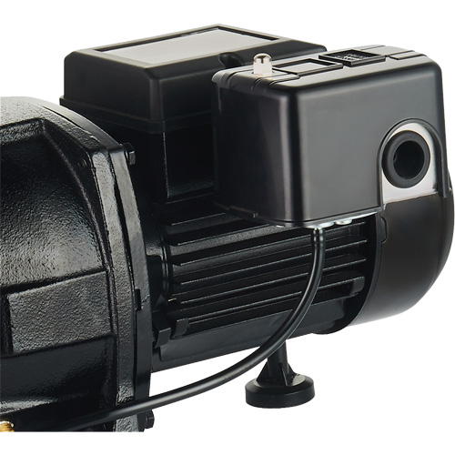 Pompe &agrave; jet en fonte &agrave; double tension pour puit peu profond, 115 V/230 V, 1100 gal./h, 1 CV Rock Safety Industrial Ltd