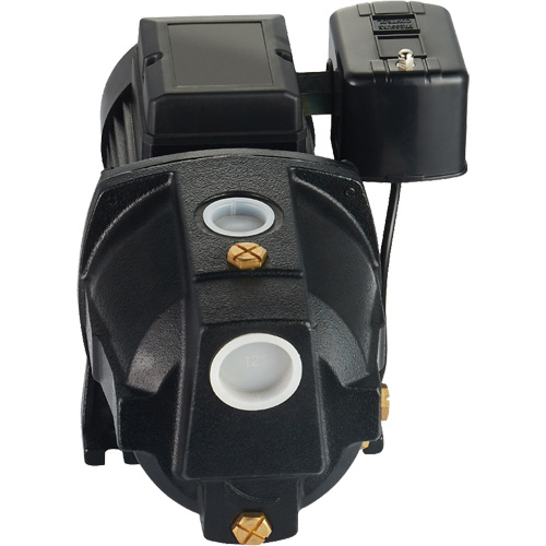 Pompe &agrave; jet en fonte &agrave; double tension pour puit peu profond, 115 V/230 V, 1100 gal./h, 1 CV Rock Safety Industrial Ltd