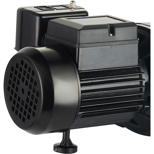 Pompe &agrave; jet en fonte &agrave; double tension pour puit peu profond, 115 V/230 V, 1100 gal./h, 1 CV Rock Safety Industrial Ltd