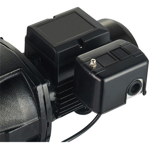 Pompe &agrave; jet en fonte &agrave; double tension pour puit peu profond, 115 V/230 V, 1100 gal./h, 1 CV Rock Safety Industrial Ltd