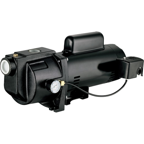 Pompe &agrave; jet en fonte &agrave; double tension pour puit peu profond, 115 V/230 V, 1260 gal./h, 1 CV Rock Safety Industrial Ltd