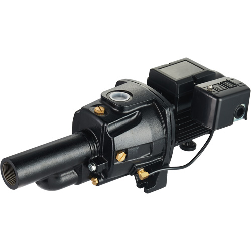 Pompe &agrave; jet en fonte &agrave; double tension transformable, 115 V/230 V, 1100 gal./h, 1/2 CV Rock Safety Industrial Ltd