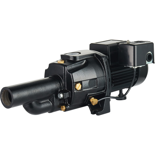 Pompe &agrave; jet en fonte &agrave; double tension transformable, 115 V/230 V, 1100 gal./h, 1/2 CV Rock Safety Industrial Ltd