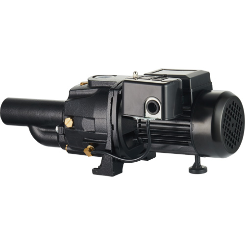 Pompe &agrave; jet en fonte &agrave; double tension transformable, 115 V/230 V, 1100 gal./h, 1/2 CV Rock Safety Industrial Ltd