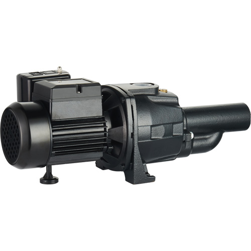 Pompe &agrave; jet en fonte &agrave; double tension transformable, 115 V/230 V, 1100 gal./h, 1/2 CV Rock Safety Industrial Ltd