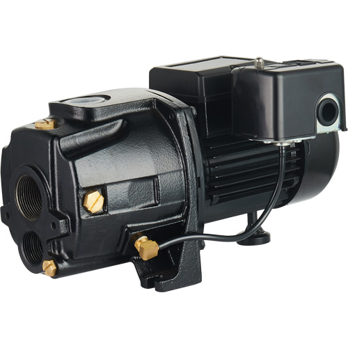 Pompe &agrave; jet en fonte &agrave; double tension transformable, 115 V/230 V, 1100 gal./h, 1/2 CV Rock Safety Industrial Ltd