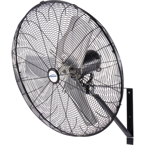 Waterproof Motor Misting & Oscillating Pedestal Fan, Industrial, 3 Speed, 30" Diameter Rock Safety Industrial Ltd
