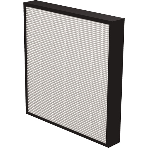 AeraMax&reg; Pro AM3 & AM4 2" True HEPA Filter, Box, 13.75" W x 2.25" D x 14.38" H Rock Safety Industrial Ltd