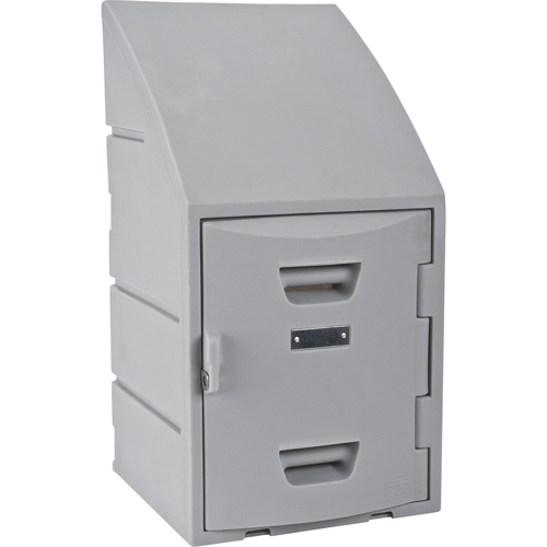 Casier, 15" x 15" x 31", Gris, Assembl&eacute; Rock Safety Industrial Ltd