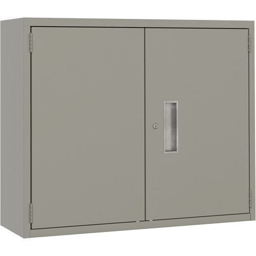 Armoire murale, Acier, 2 Tablettes, 30" h x 36" la x 12" P, Gris Rock Safety Industrial Ltd