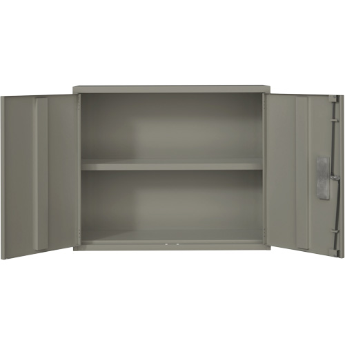 Armoire murale, Acier, 2 Tablettes, 30" h x 36" la x 12" P, Gris Rock Safety Industrial Ltd