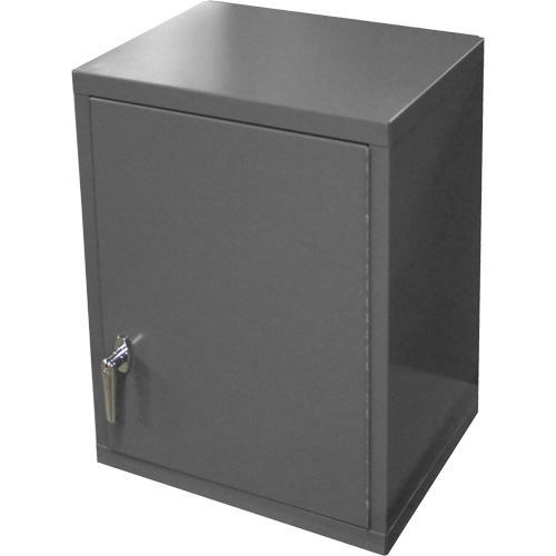 Armoire murale, 27" h x 13-11/16" la x 18" p, 2 tablettes, Acier, Gris Rock Safety Industrial Ltd