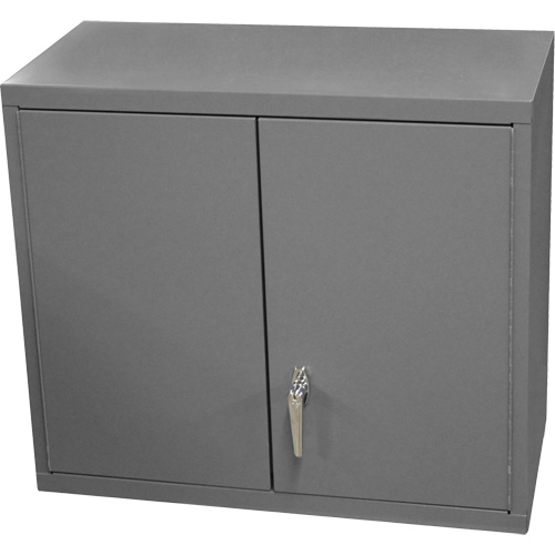 Wall-Mounted Cabinet, 27" H x 13-11/16" W x 35-7/8" D, 2 Shelves, Steel, Grey Rock Safety Industrial Ltd