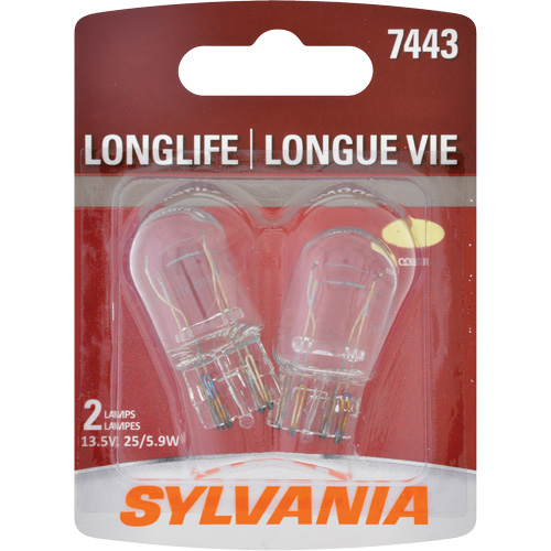 7443 Mini-ampoule automobile &agrave; longue dur&eacute;e de vie, Incandescente, 25 W/5,9 W, Blanc Rock Safety Industrial Ltd