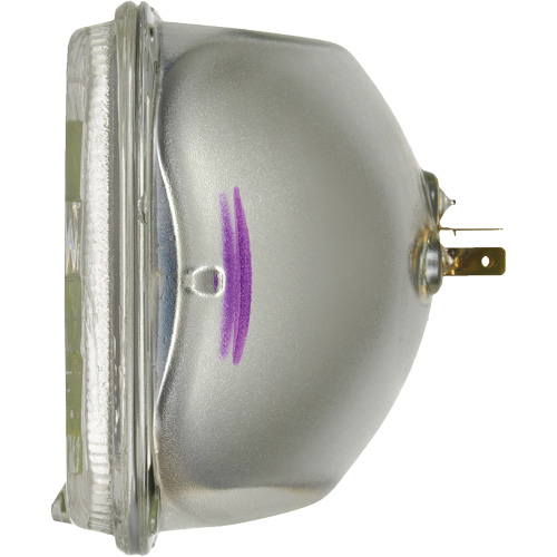 Phare automobile scell&eacute; SilverStar H6024, 35 W/65 W, Blanc Rock Safety Industrial Ltd