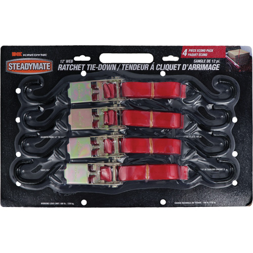 Tendeurs d'arrimage &agrave; cliquet, Crochet en S, 1" , 12' , Charge d'utilisation max. 500 lb (230 kg) Rock Safety Industrial Ltd