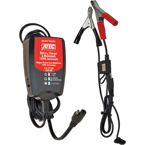Chargeur/mainteneur de batterie automatique 6/12 V 1 A Rock Safety Industrial Ltd