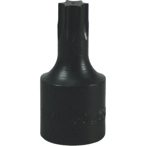 T-50 Torx&reg; Bit Rock Safety Industrial Ltd