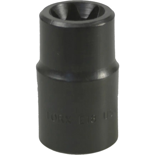 Douille Torx&reg; E-18 Rock Safety Industrial Ltd