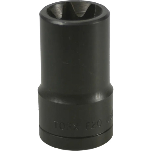E-20 Torx&reg; Socket Rock Safety Industrial Ltd