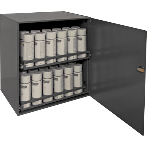Armoire de rangement pour contenants a&eacute;rosol, Acier, 21-7/8" h x 15-15/16" la x 20-5/16" P, Gris Rock Safety Industrial Ltd