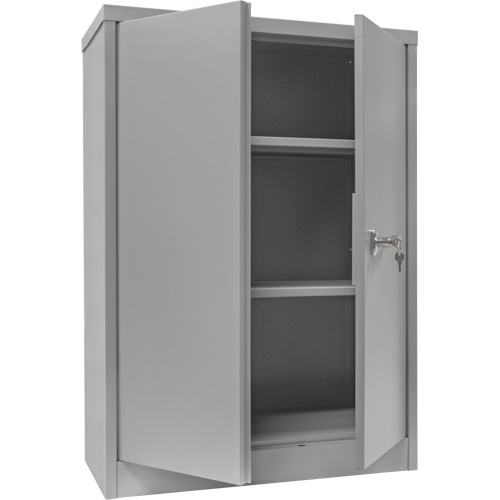 Counter-High Storage Cabinet, Steel, 2 Shelves, 42" H x 36" W x 24" D, Grey Rock Safety Industrial Ltd