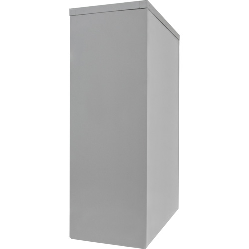Counter-High Storage Cabinet, Steel, 2 Shelves, 42" H x 36" W x 24" D, Grey Rock Safety Industrial Ltd