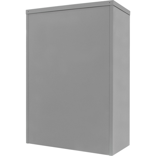 Counter-High Storage Cabinet, Steel, 2 Shelves, 42" H x 36" W x 24" D, Grey Rock Safety Industrial Ltd