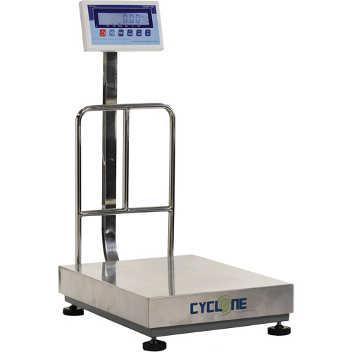 Balance &agrave; plateforme et d'&eacute;tabli Cyclone 300, Capacit&eacute; de 600 lb / 300 kg, 17-3/4" lo x 23-3/5" la Rock Safety Industrial Ltd