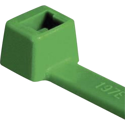 Attaches pour c&acirc;ble PA66 homologu&eacute;es UL, Longueur 4", R&eacute;sistance &agrave; la traction 18 lb, Vert Rock Safety Industrial Ltd