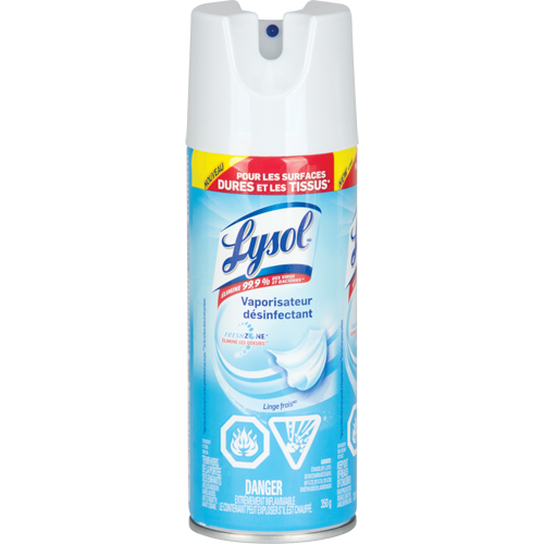 Disinfectant Spray, 350 g, Aerosol Can Rock Safety Industrial Ltd