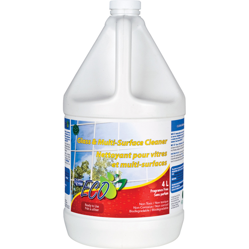 Glass & Multi-Surface Cleaners, 4 L, Jug Rock Safety Industrial Ltd