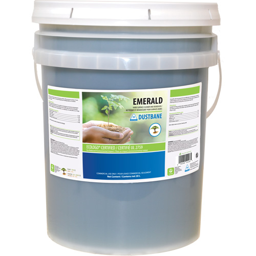 D&eacute;sinfectants et nettoyants Emerald, 20 L, Seau Rock Safety Industrial Ltd