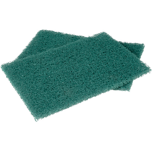Tampons manuels Scotch-Brite, &agrave; r&eacute;curer, 6" la x 9" l Rock Safety Industrial Ltd
