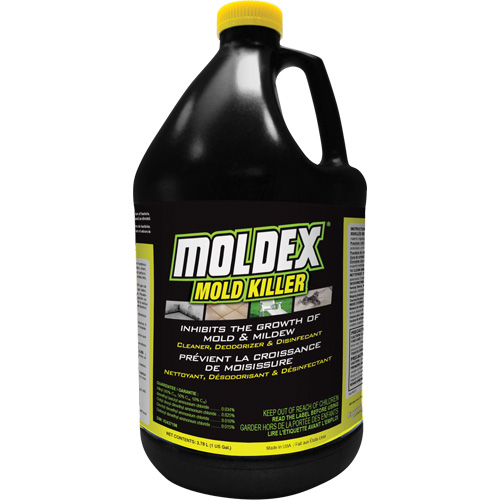 D&eacute;sinfectant contre les moisissures Moldex, 3,78 L, Cruche Rock Safety Industrial Ltd