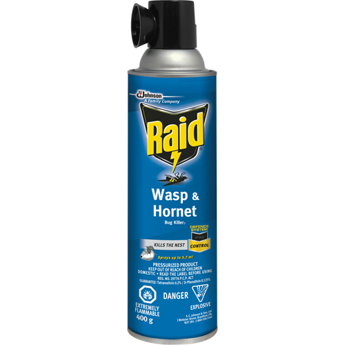Raid&reg; Wasp & Hornet Bug Killer, 400 g, Solvent Base Rock Safety Industrial Ltd
