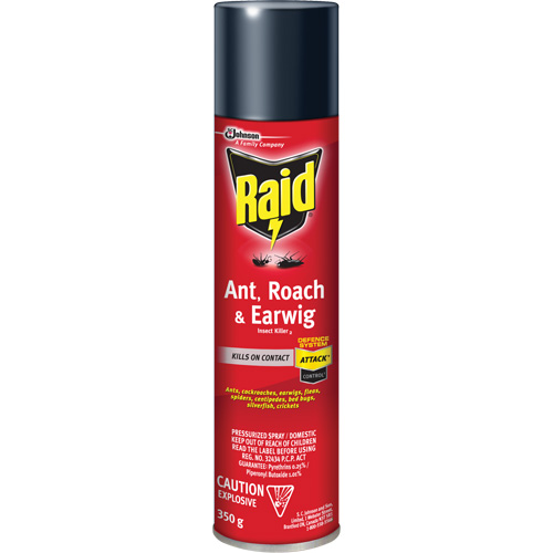 Raid&reg; Ant, Roach & Earwig Insect Killer, 350 g, Solvent Base Rock Safety Industrial Ltd