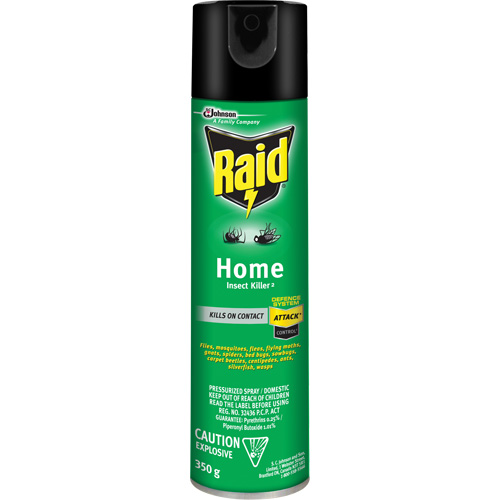 Raid&reg; Home Insect Killer, 350 g, Solvent Base Rock Safety Industrial Ltd