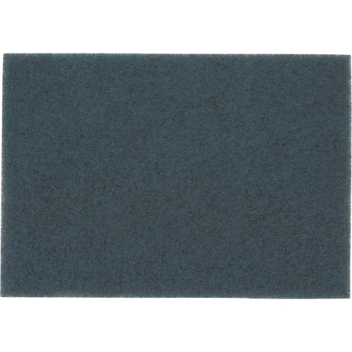 Tampon pour planchers, 14" x 20", Nettoyage/&agrave; r&eacute;curer, Bleu Rock Safety Industrial Ltd