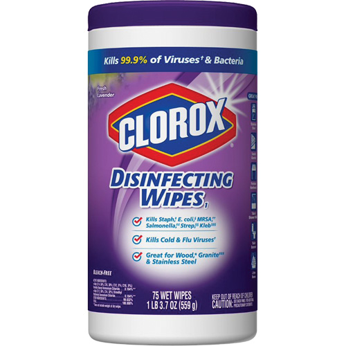 Disinfecting Wipes, 75 Count Rock Safety Industrial Ltd