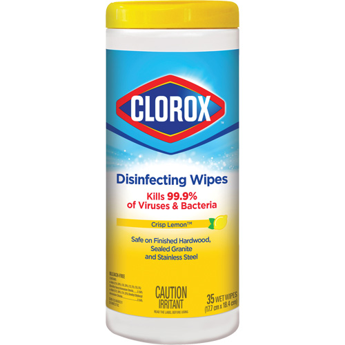 Disinfecting Wipes, 35 Count Rock Safety Industrial Ltd